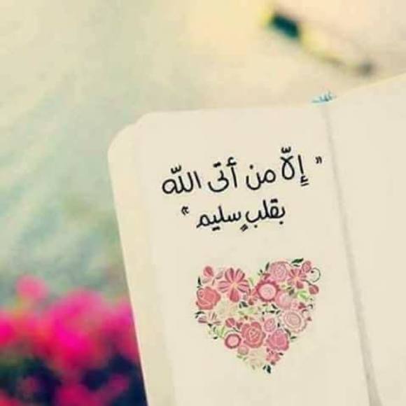 wafaafathi99